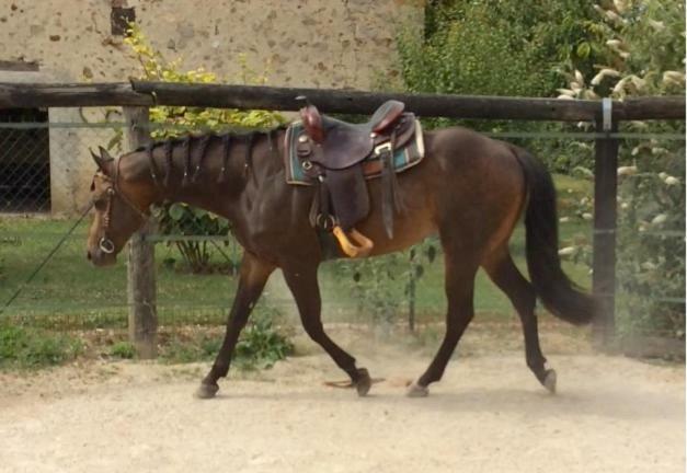 La Mini Ferme De Maelou Βίλα Sermaises Εξωτερικό φωτογραφία